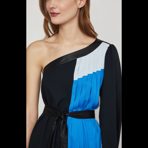 BCBGMAXAZAR One Shoulder Pleated Colorblock Top - Picture 5 of 8
